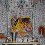 Vraj-Yatra-2014- (759)